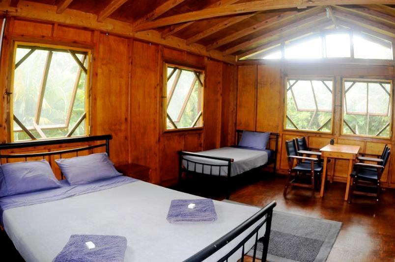 Daintree Rainforest Bungalows Villa Cow Bay Room photo