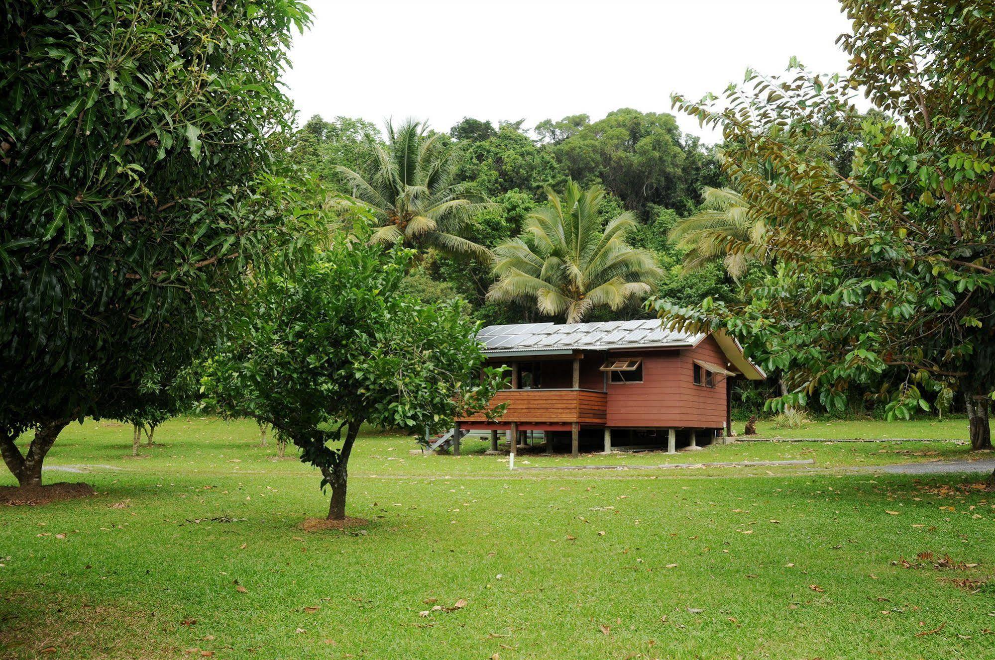 Daintree Rainforest Bungalows Villa Cow Bay Exterior photo